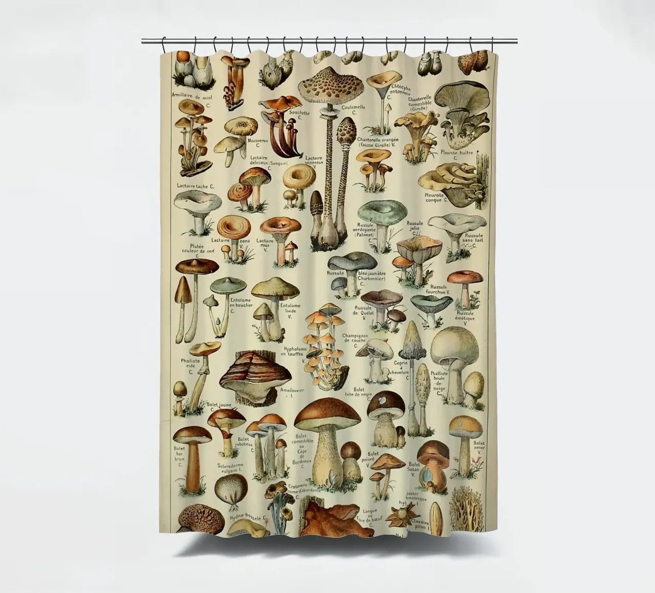 mushrooms fungi champignons amanita shower curtain by Graham Robertson