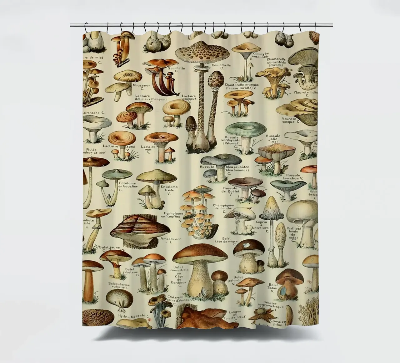 mushrooms fungi champignons amanita shower curtain by Graham Robertson