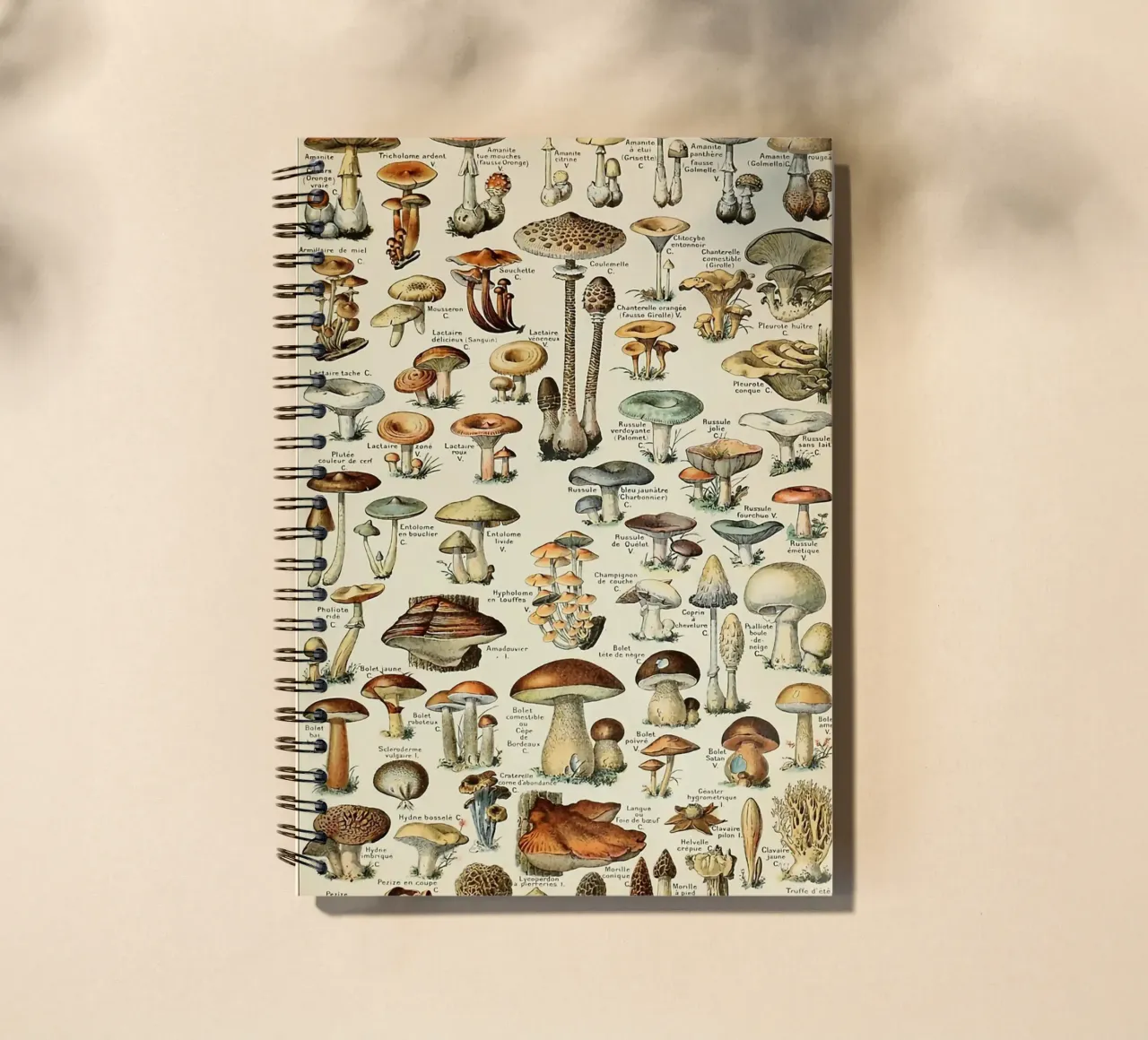 mushrooms fungi champignons amanita spiral notebook by Graham Robertson