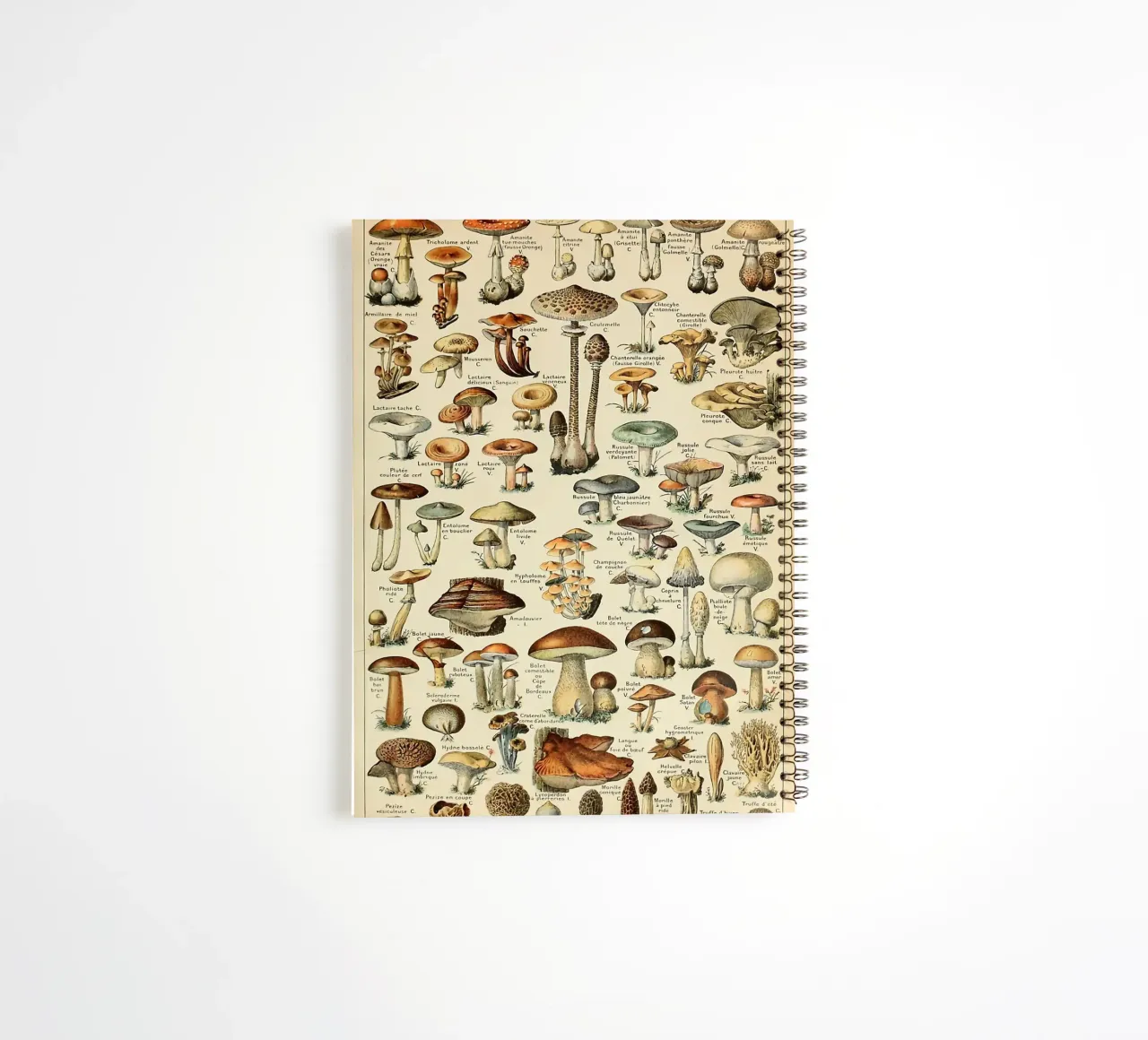 mushrooms fungi champignons amanita spiral notebook by Graham Robertson