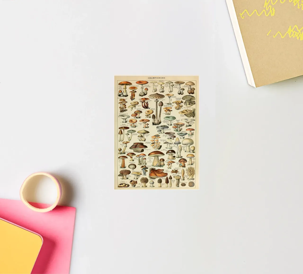 mushrooms fungi champignons amanita sticker by Graham Robertson