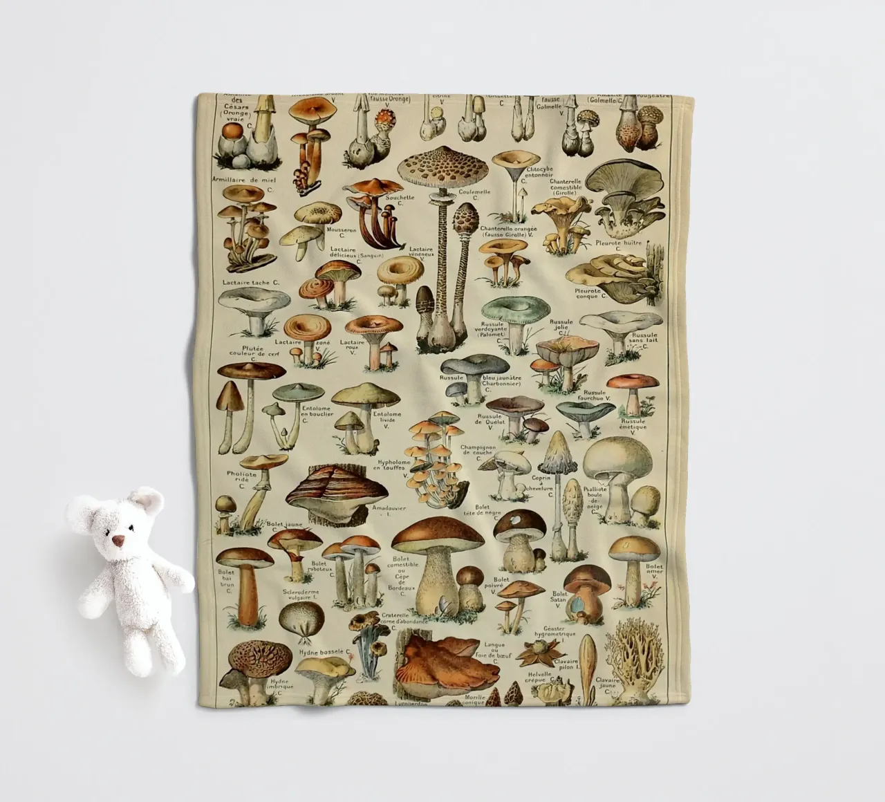 funghi champignon amanita coperta in pile da Graham Robertson