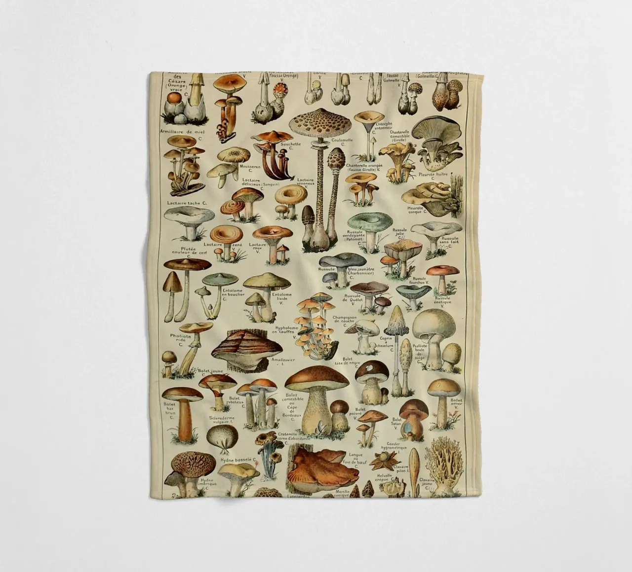 funghi champignon amanita coperta in pile da Graham Robertson