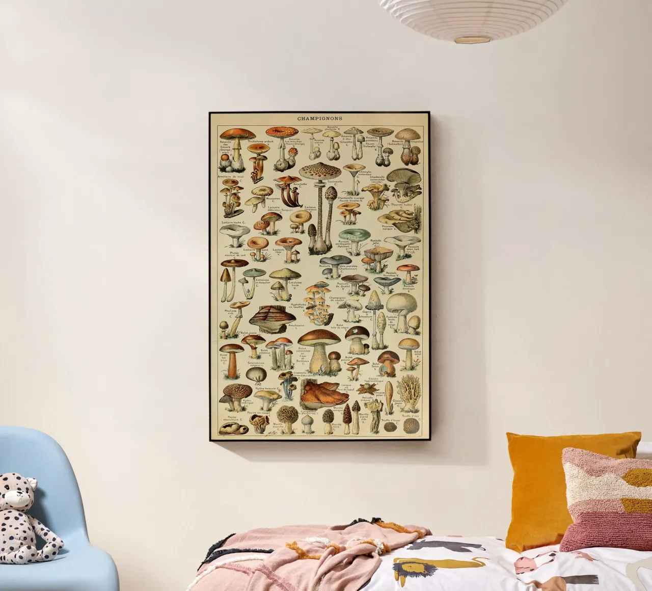 mushrooms fungi champignons amanita acrylic glass by Graham Robertson