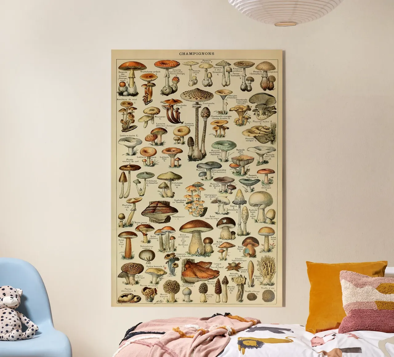 mushrooms fungi champignons amanita acrylic glass by Graham Robertson