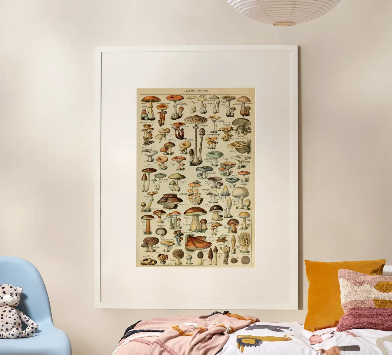 mushrooms fungi champignons amanita poster by Graham Robertson