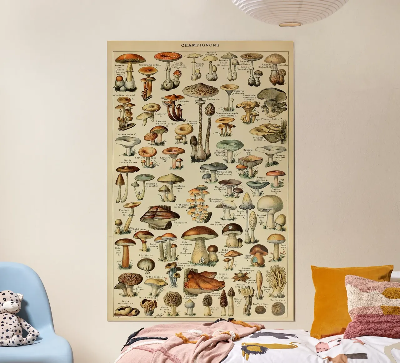 funghi champignon amanita poster con telaio in plastica da Graham Robertson
