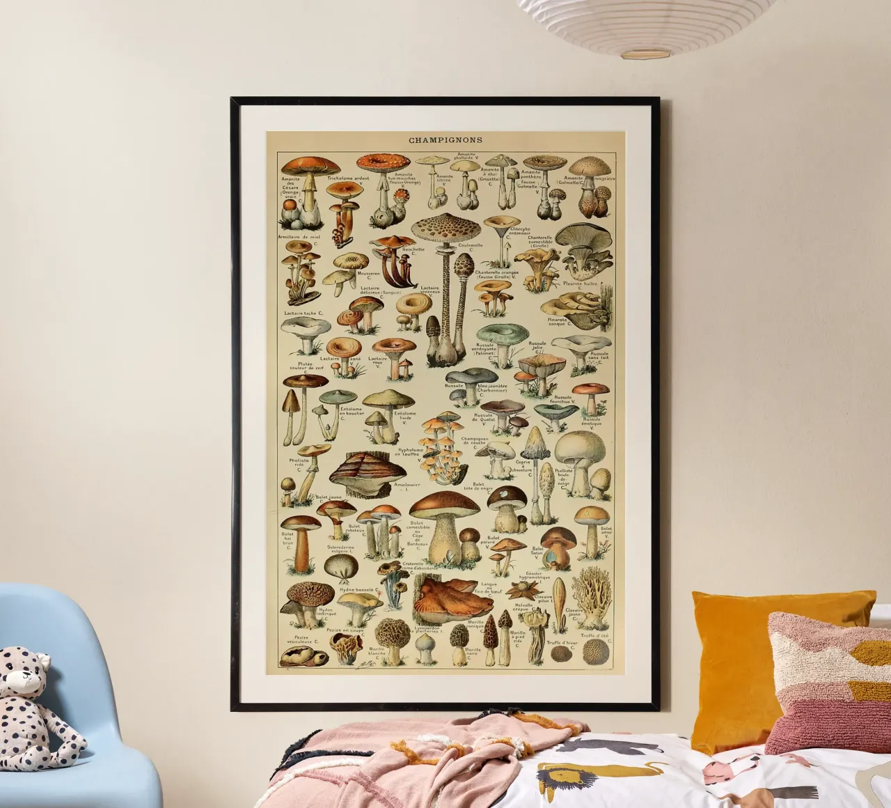 funghi champignon amanita poster con telaio in plastica da Graham Robertson