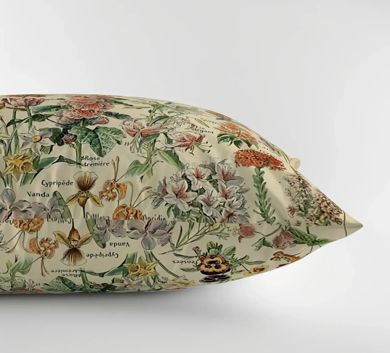 fiori illustrazioni botaniche fleurs roses cuscino da Graham Robertson