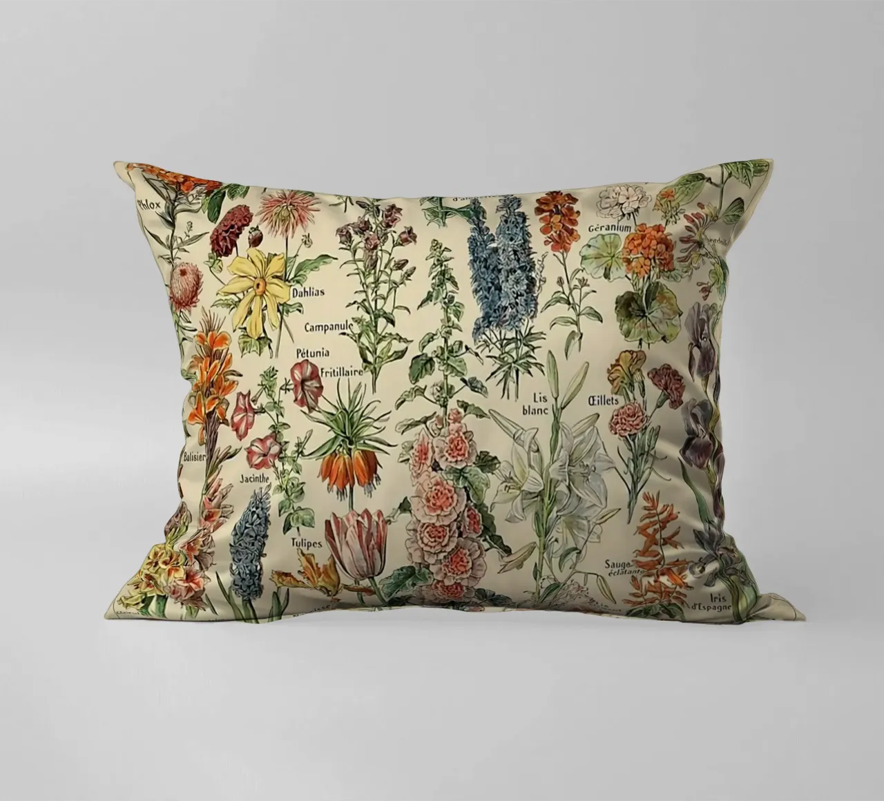 fiori illustrazioni botaniche fleurs roses cuscino da Graham Robertson