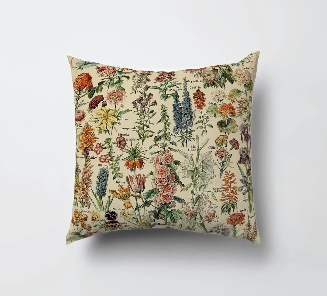 fiori illustrazioni botaniche fleurs roses cuscino da Graham Robertson