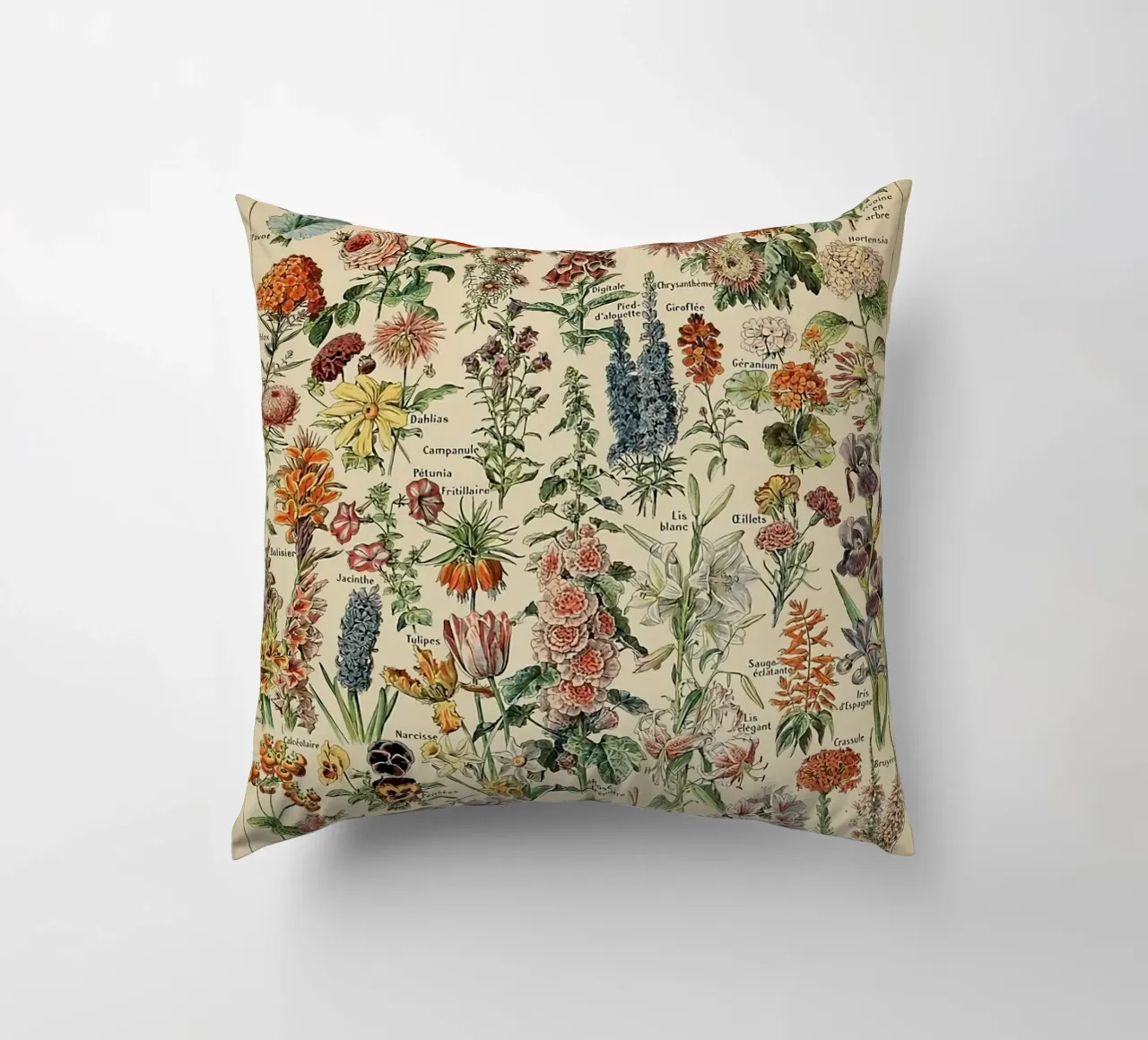 fiori illustrazioni botaniche fleurs roses cuscino da Graham Robertson