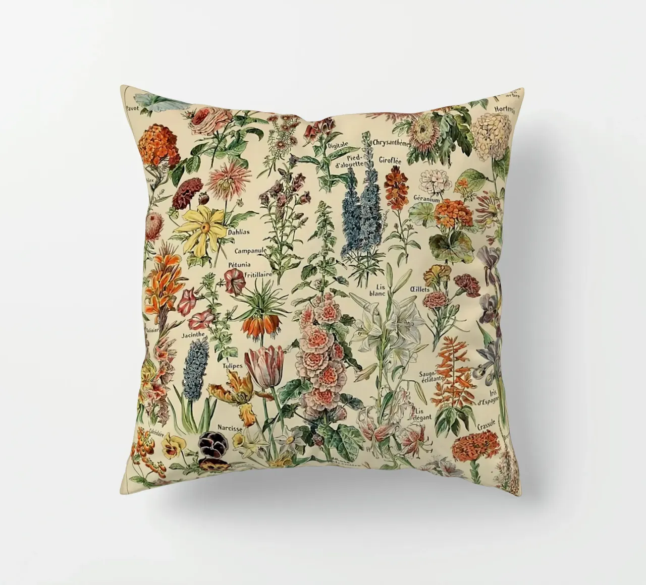 fiori illustrazioni botaniche fleurs roses cuscino da Graham Robertson
