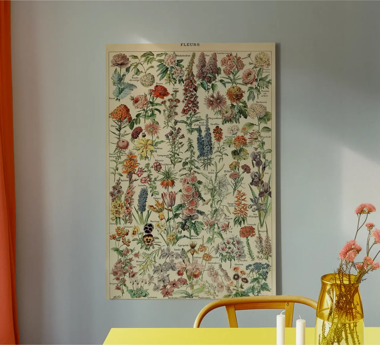 fiori illustrazioni botaniche fleurs roses tela con Cornice a cassetta da Graham Robertson