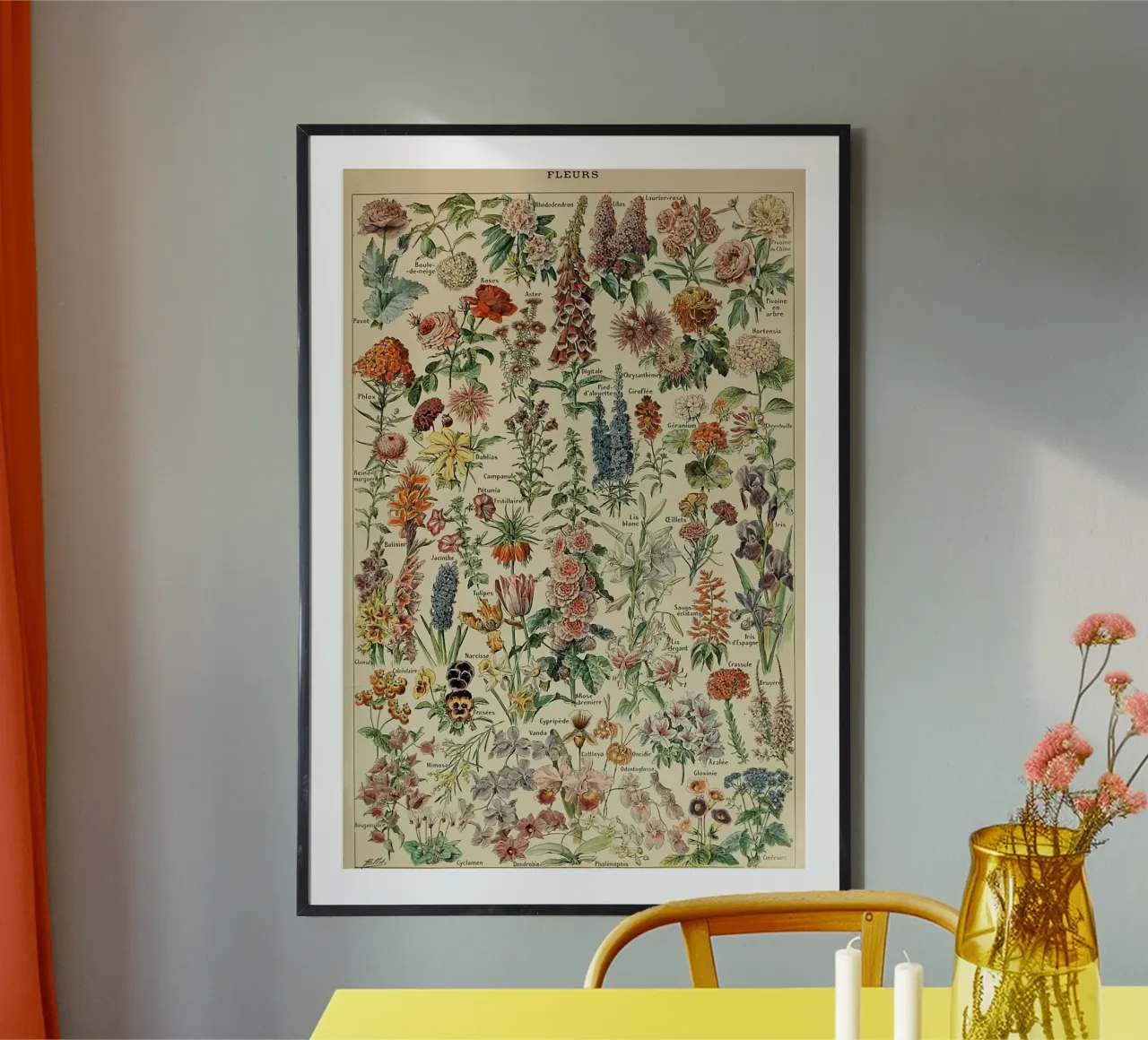 fiori illustrazioni botaniche fleurs roses poster da Graham Robertson