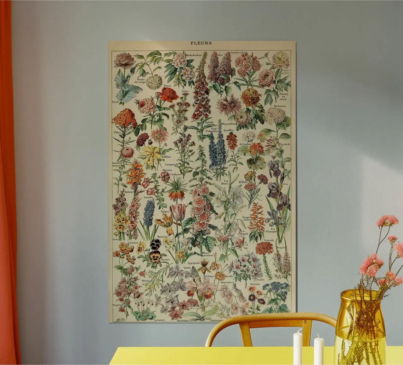 fiori illustrazioni botaniche fleurs roses poster da Graham Robertson