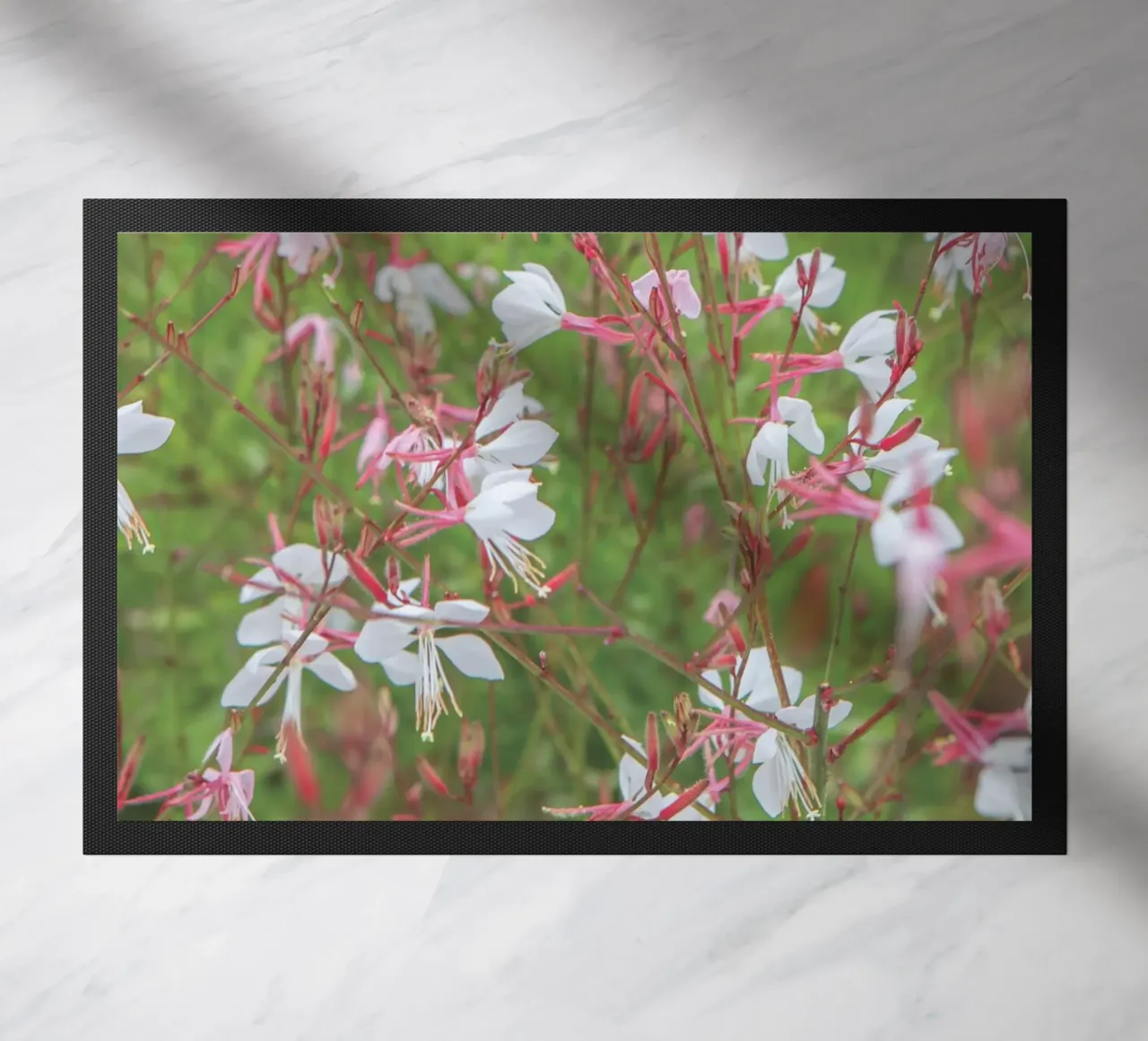 Piccoli fiori zerbino da Dave Hare Photography