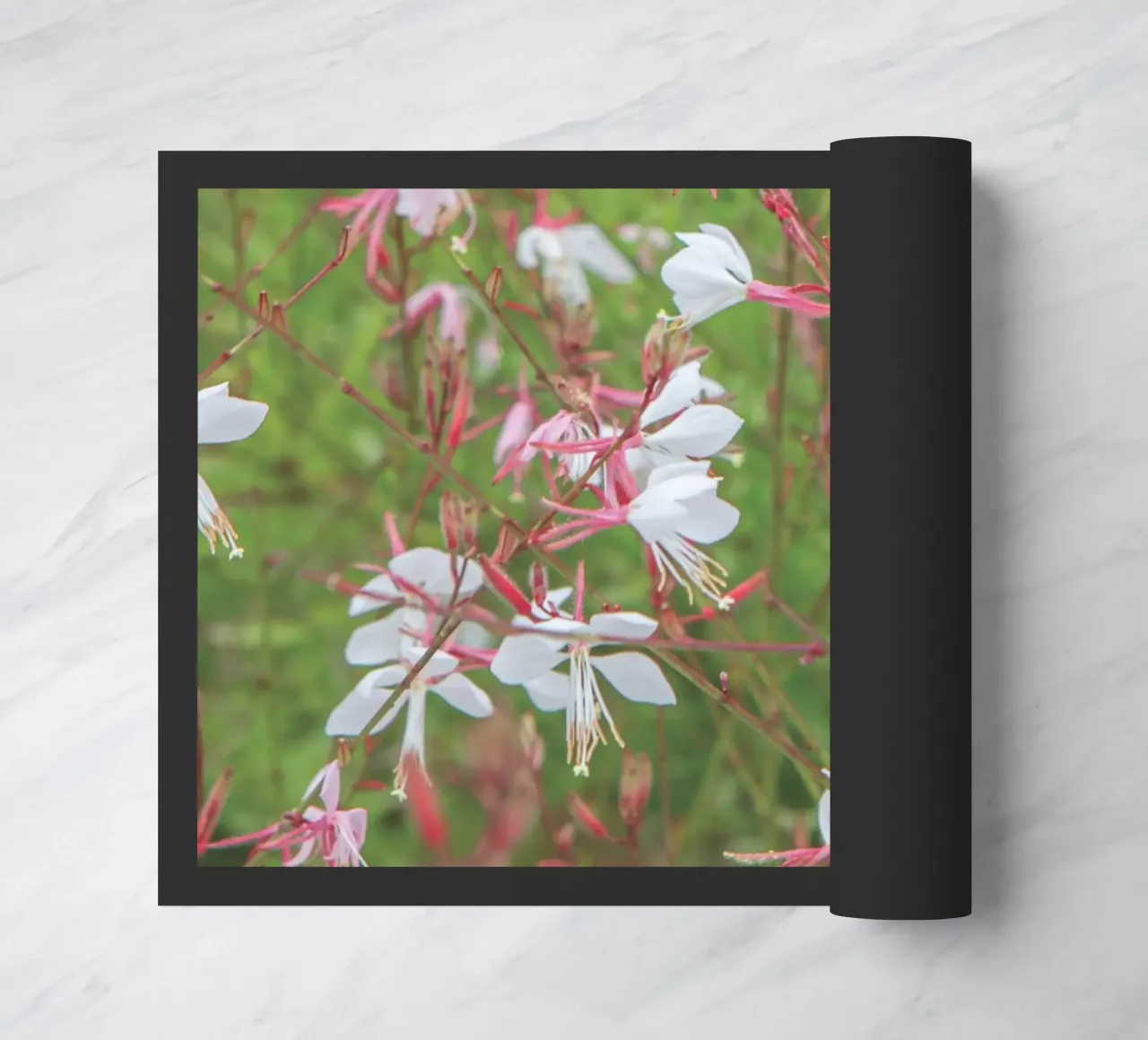Piccoli fiori zerbino da Dave Hare Photography