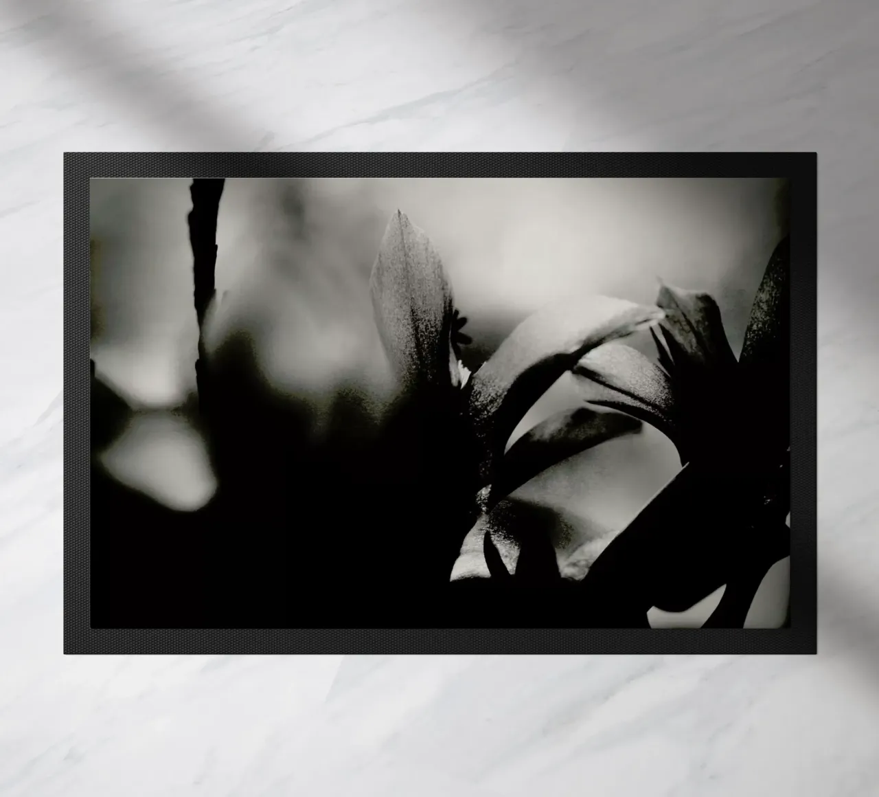 Blossoming I zerbino da Anja Hebrank Photography