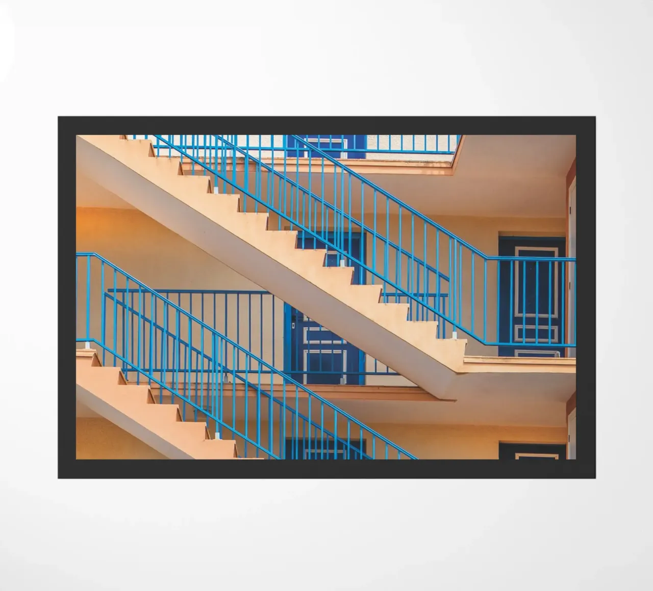 Scale blu zerbino da Dave Hare Photography