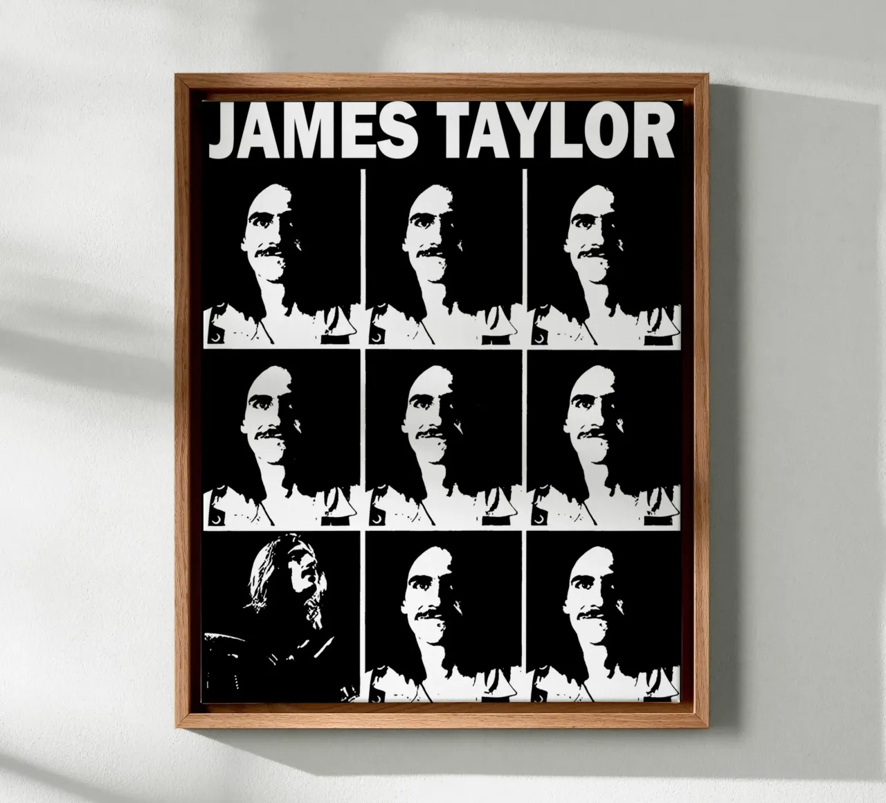 James Taylor - Singer And Songwriter toile de Deepness