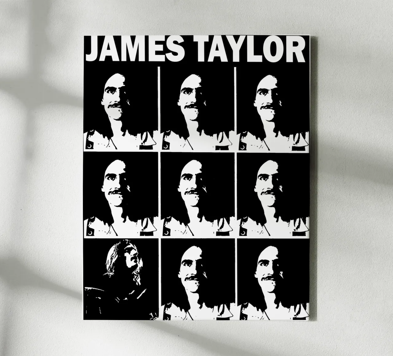 James Taylor - Singer And Songwriter toile de Deepness