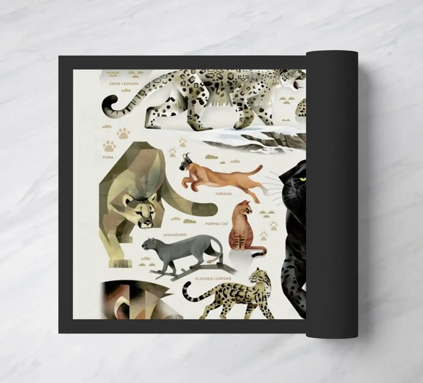 Big Cats zerbino da Dieter Braun