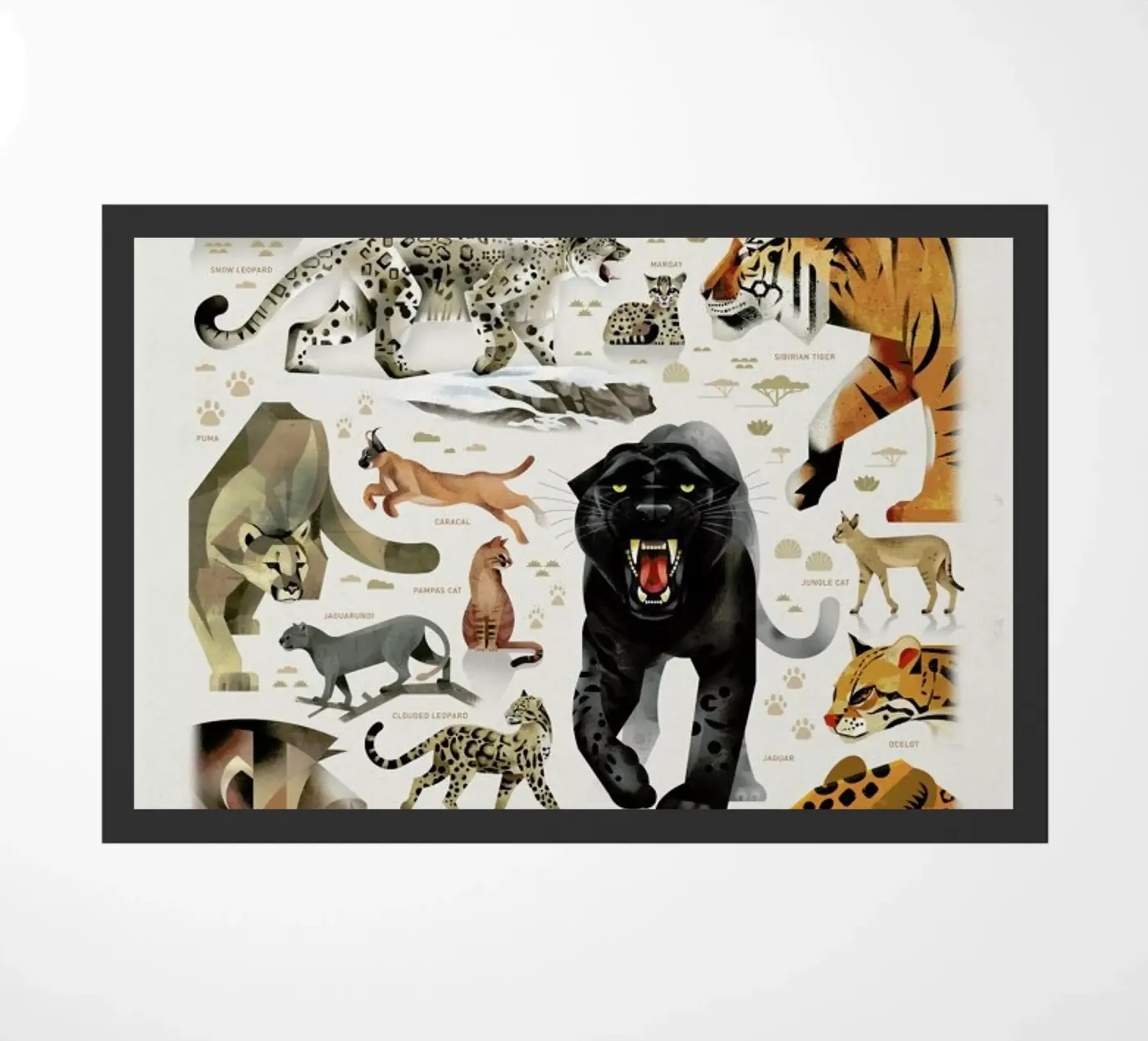 Big Cats zerbino da Dieter Braun