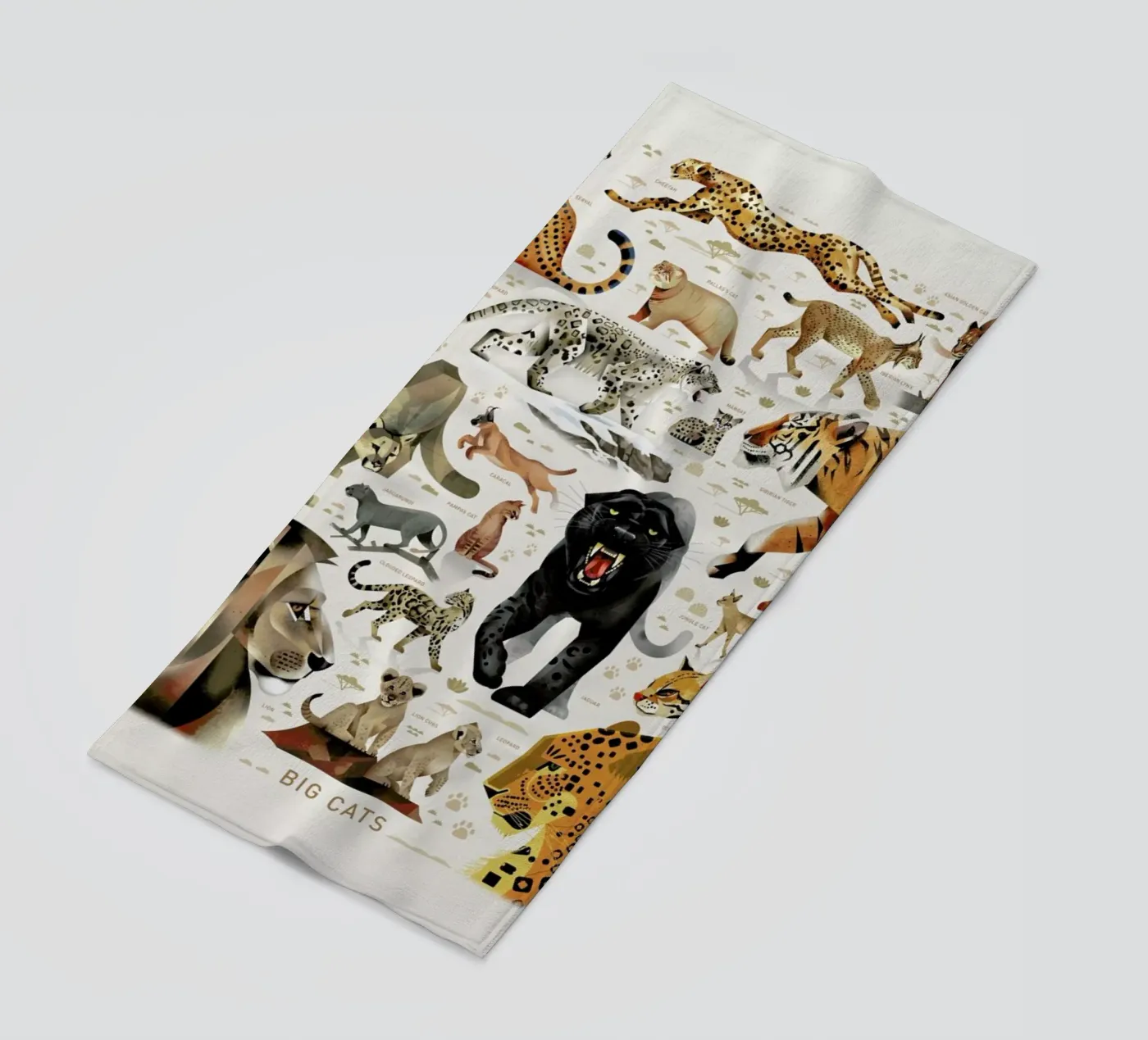 Big Cats telo mare da Dieter Braun