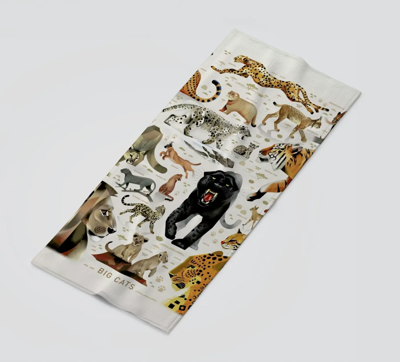 Big Cats telo mare da Dieter Braun