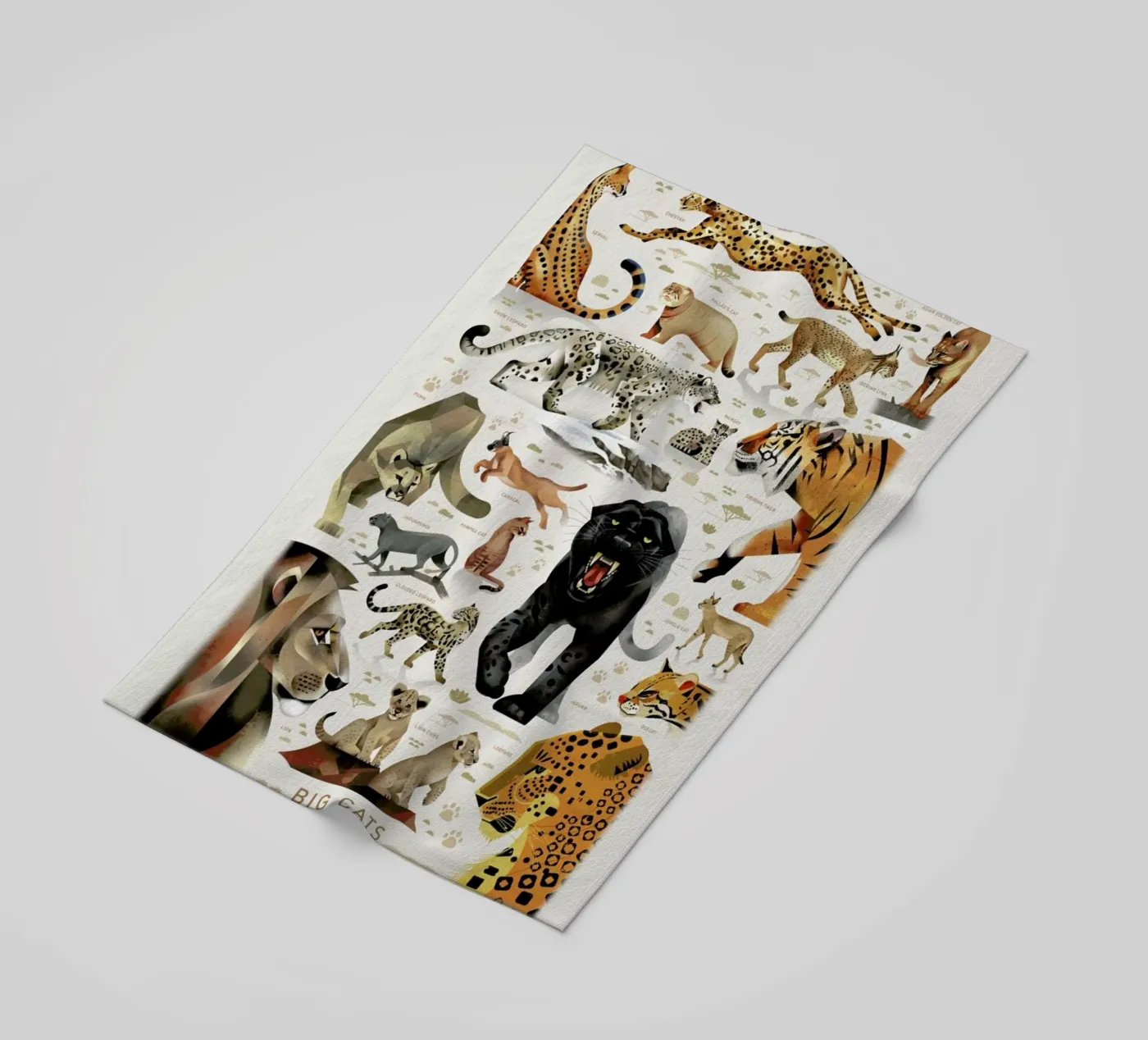 Big Cats telo mare da Dieter Braun