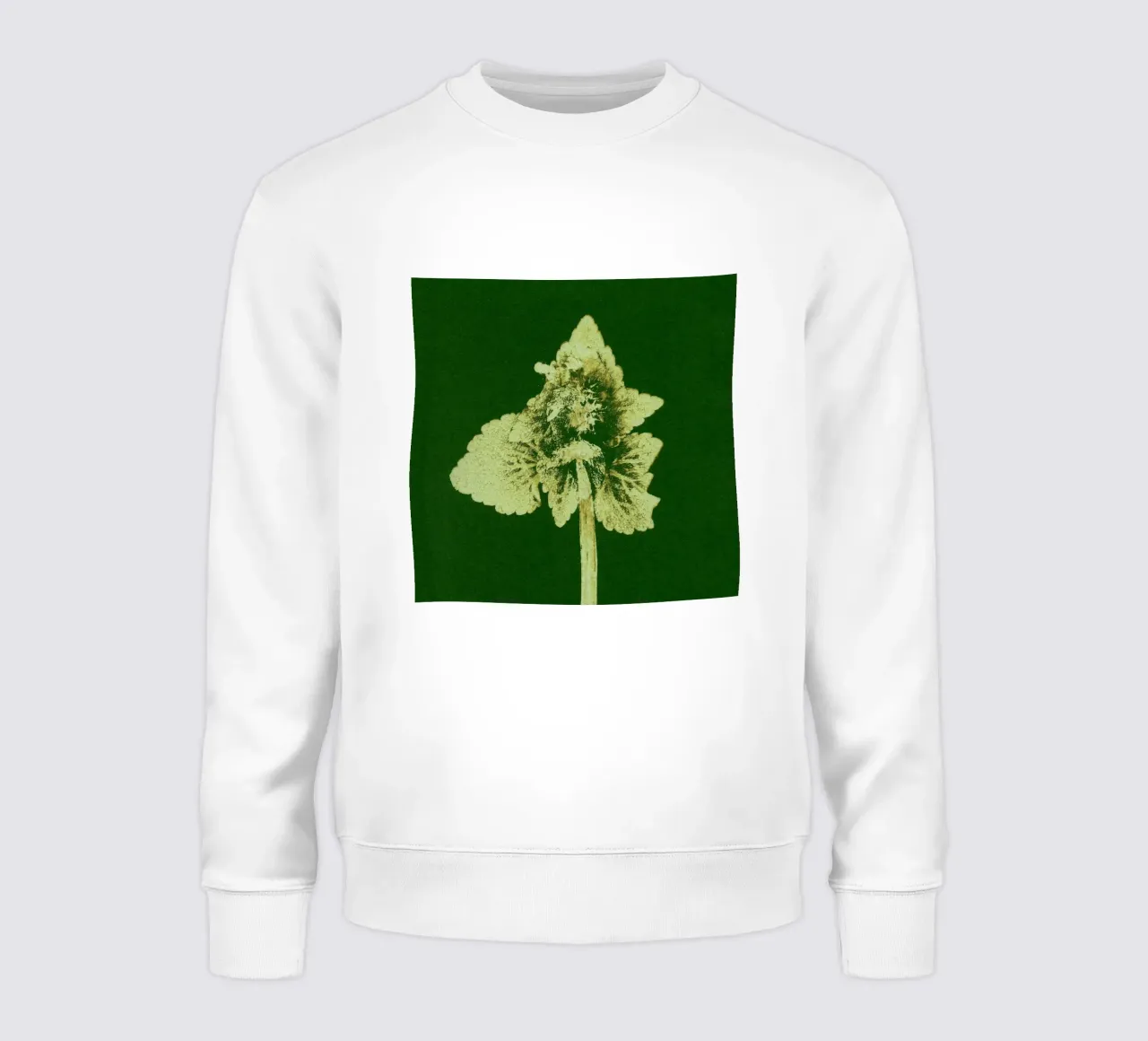Impressioni botaniche | Lamium purpureum v3 felpa da Ivona Maris