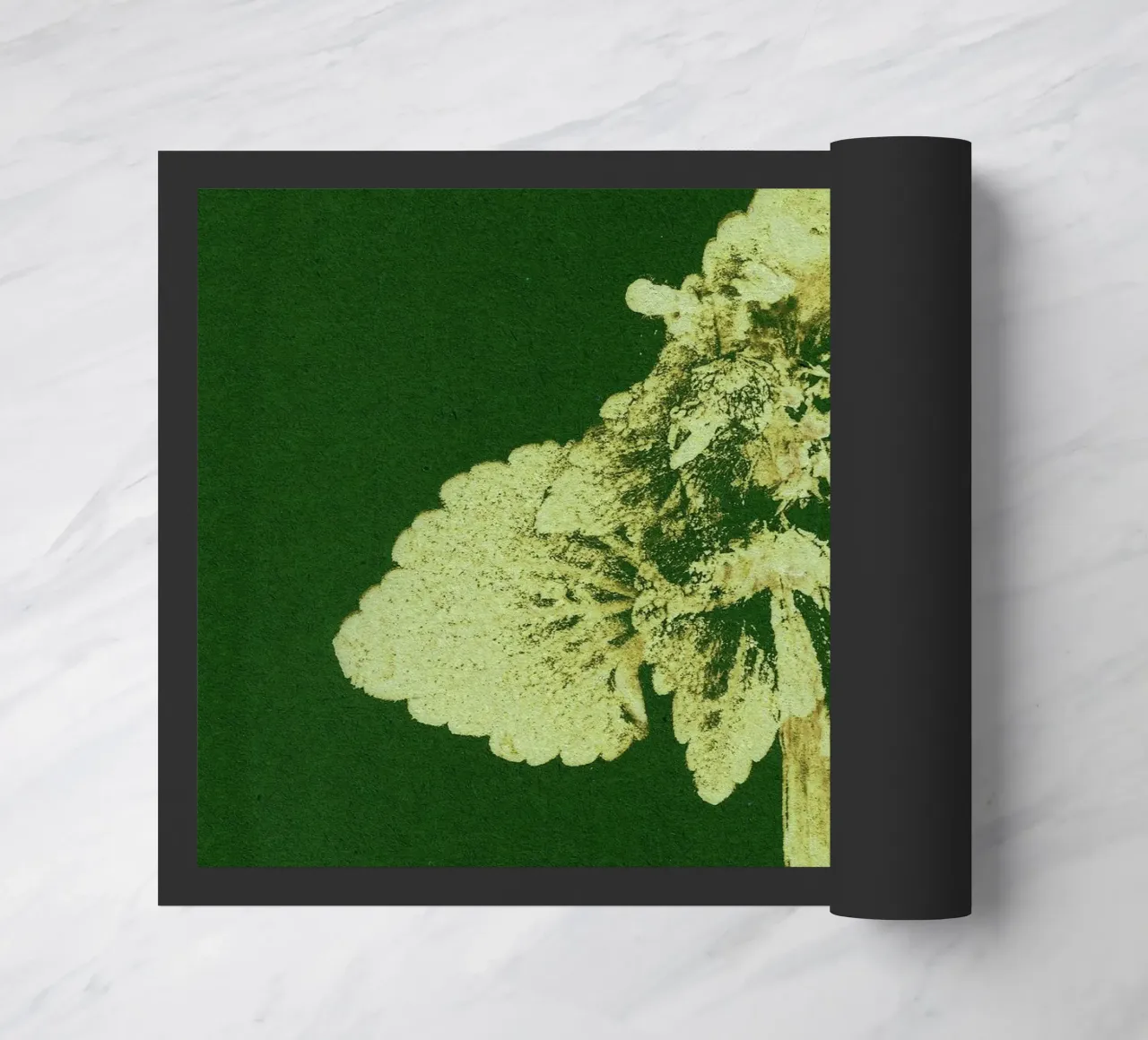 Impressioni botaniche | Lamium purpureum v3 zerbino da Ivona Maris