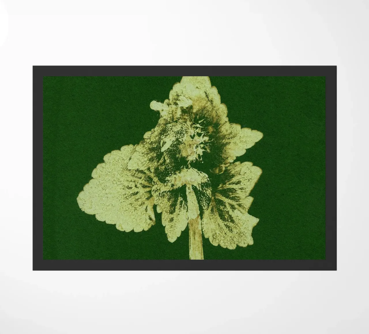 Impressioni botaniche | Lamium purpureum v3 zerbino da Ivona Maris