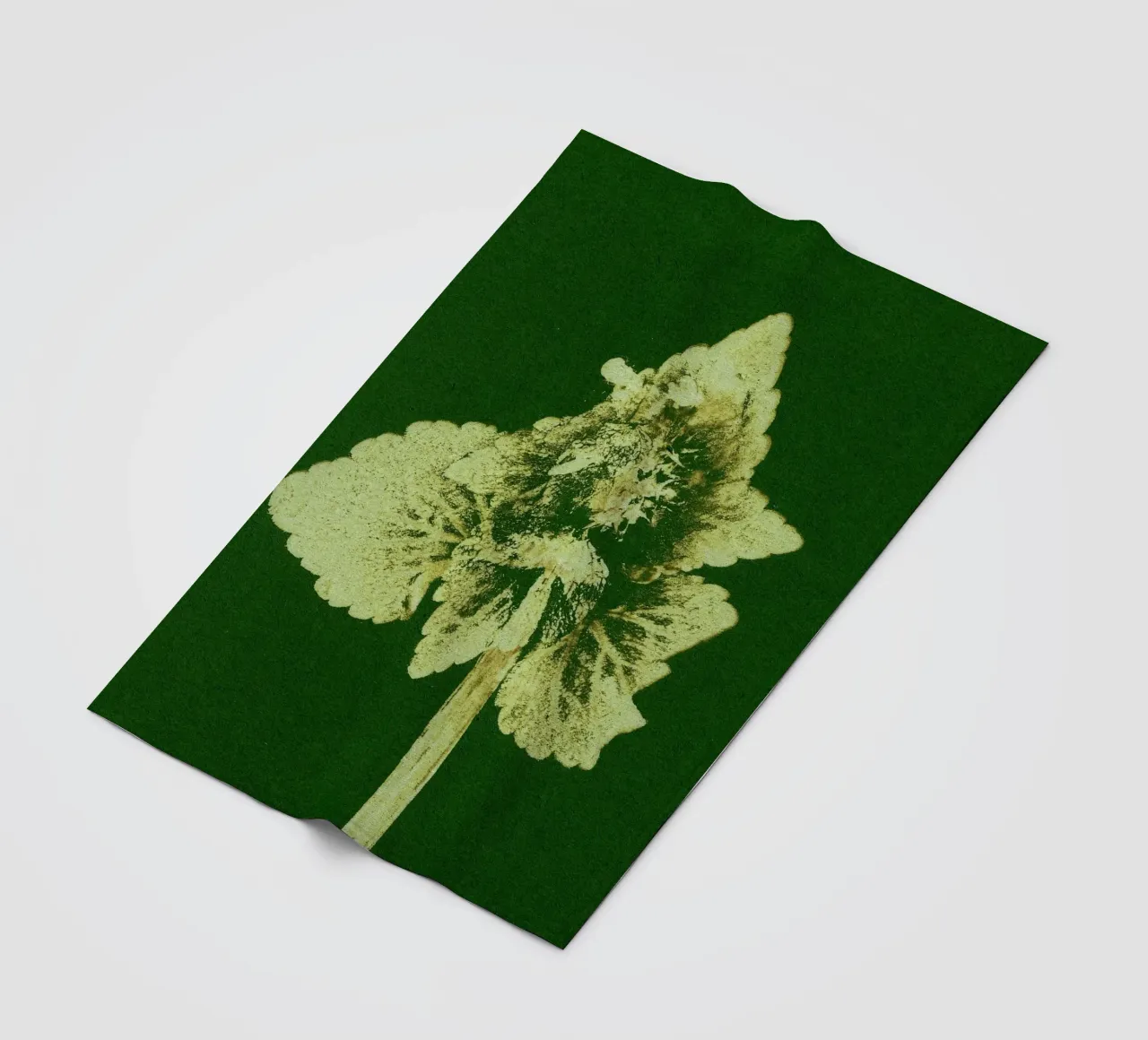 Impressioni botaniche | Lamium purpureum v3 coperta in pile da Ivona Maris