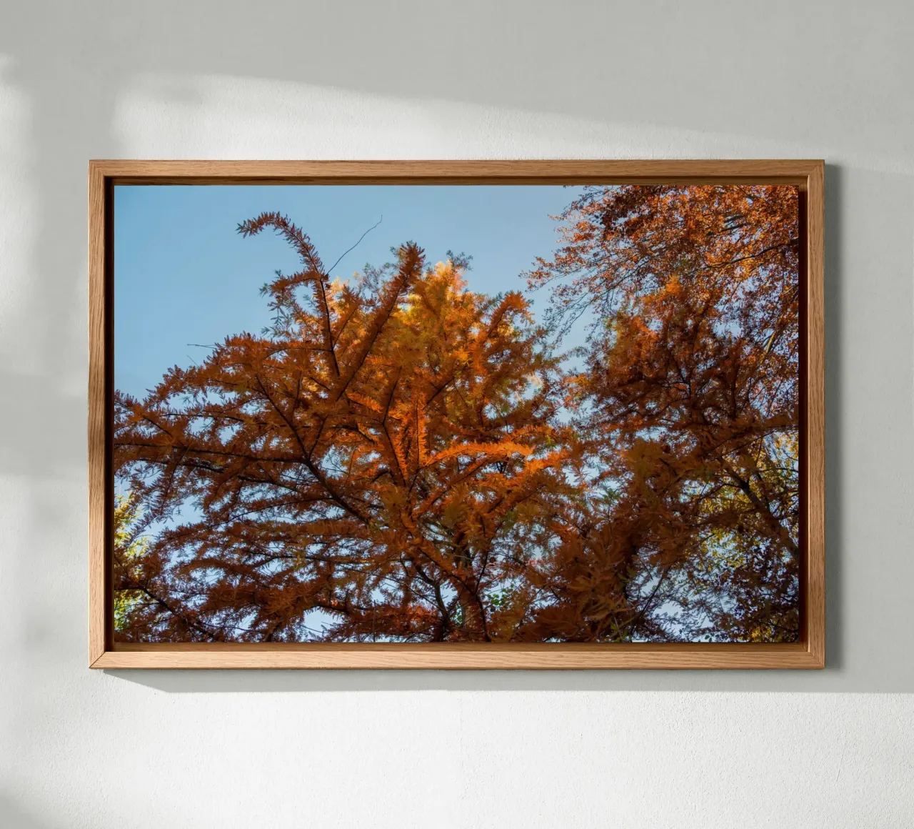 Sussurri di sentieri d'autunno tela con Cornice a cassetta da PhotoVibe Decor