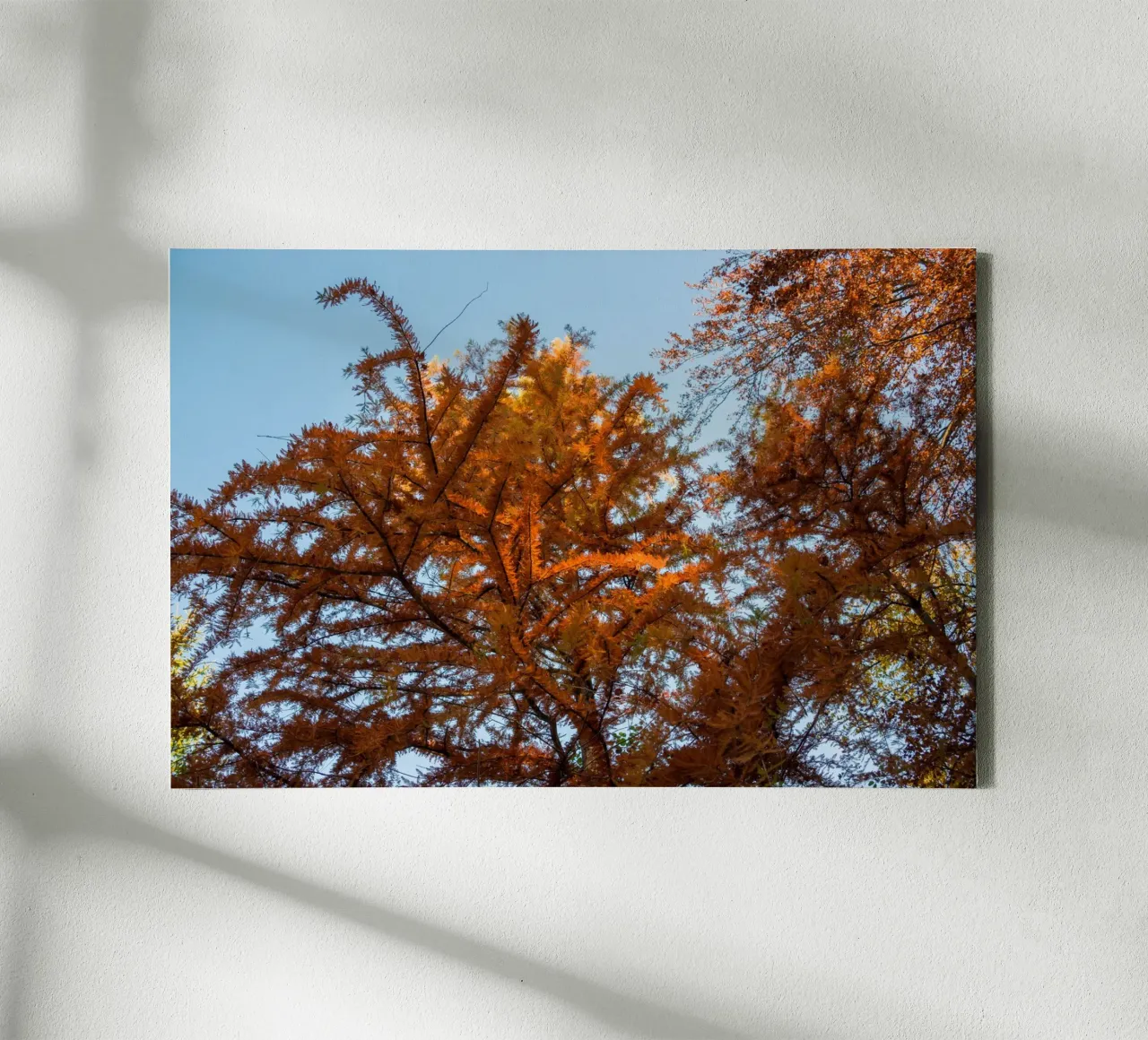 Sussurri di sentieri d'autunno tela con Cornice a cassetta da PhotoVibe Decor