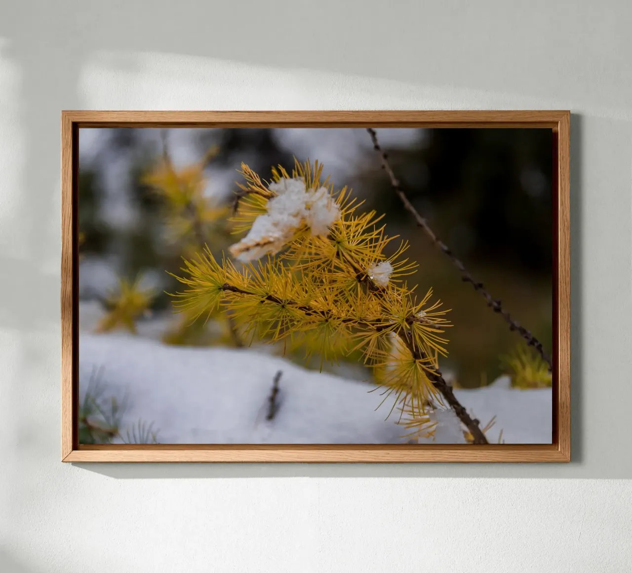Sussurri di sentieri d'autunno tela con Cornice a cassetta da PhotoVibe Decor