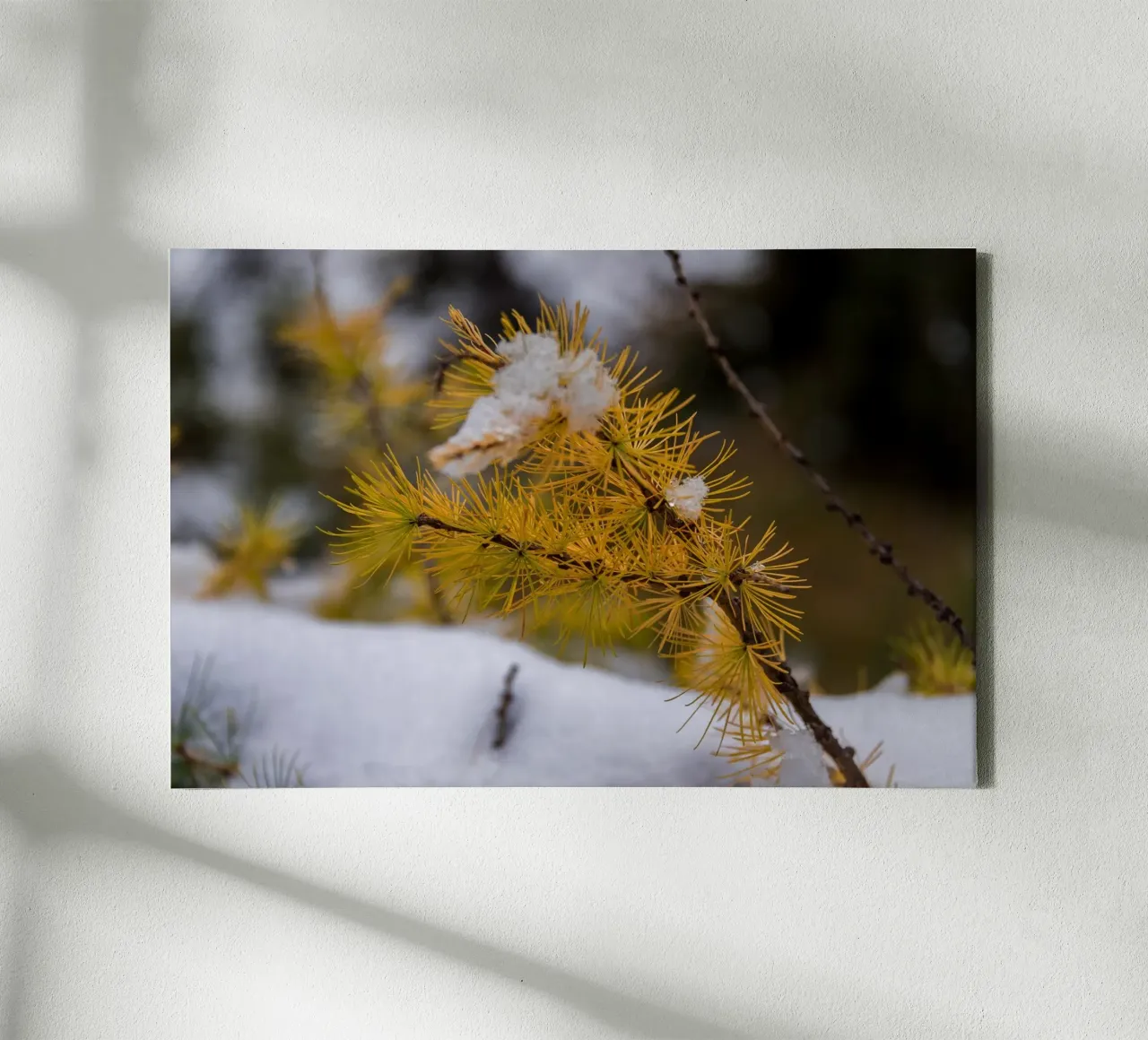 Sussurri di sentieri d'autunno tela con Cornice a cassetta da PhotoVibe Decor