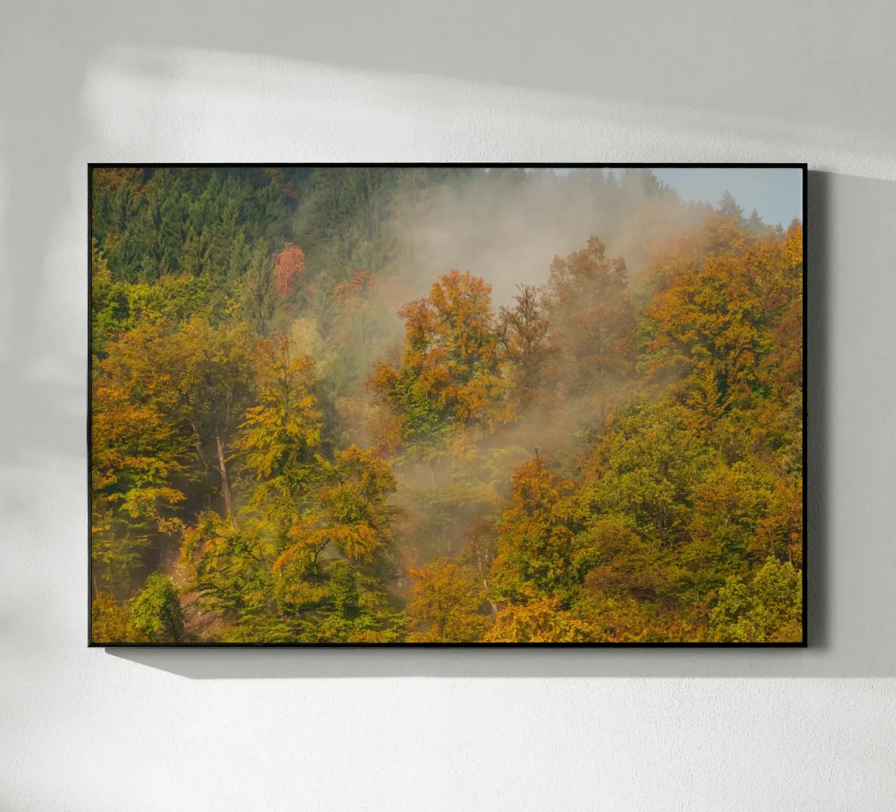 Sussurri di sentieri d'autunno plexiglass da PhotoVibe Decor