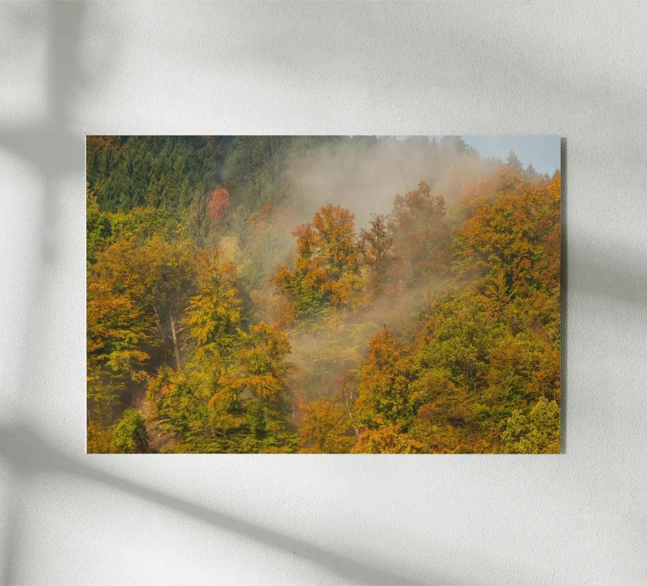 Sussurri di sentieri d'autunno plexiglass da PhotoVibe Decor