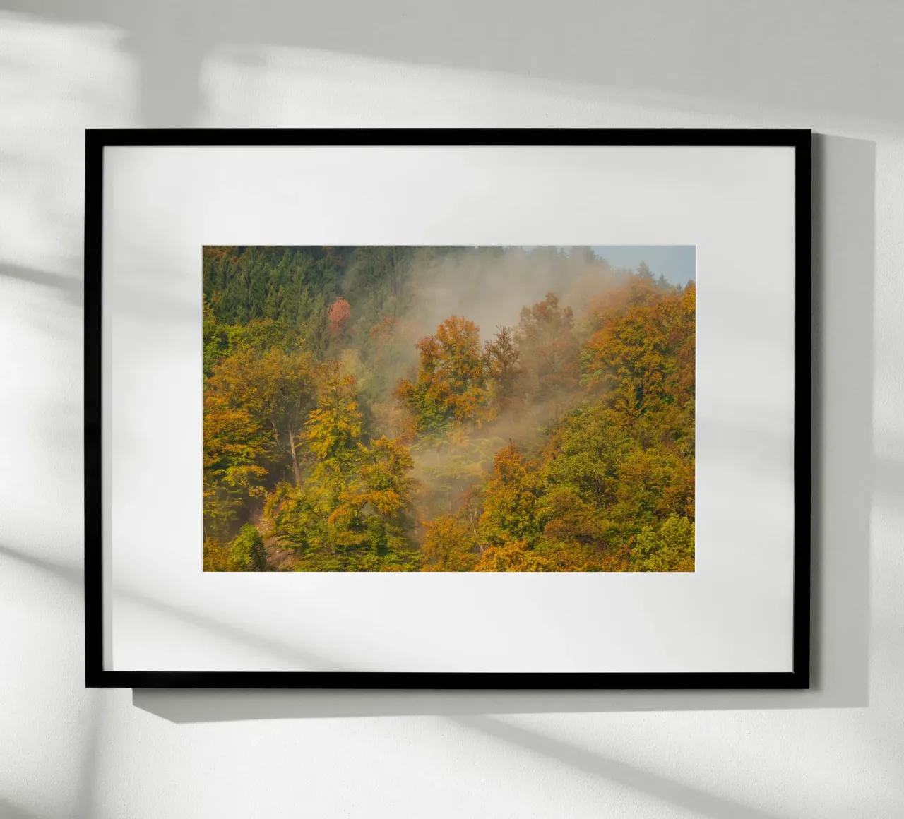 Sussurri di sentieri d'autunno carta hahnemühle da PhotoVibe Decor