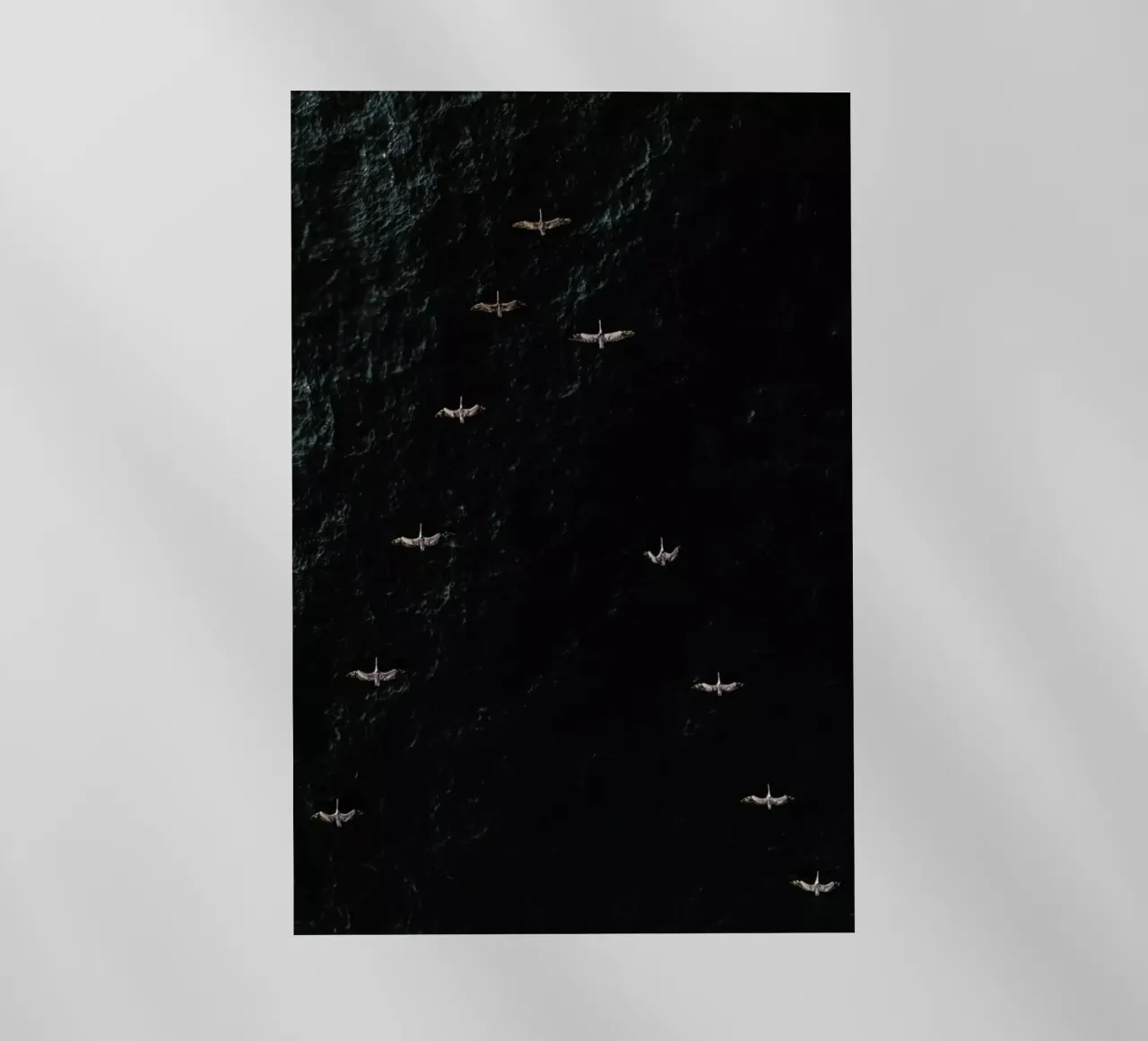 V pellicola backlit da ROBERTO H