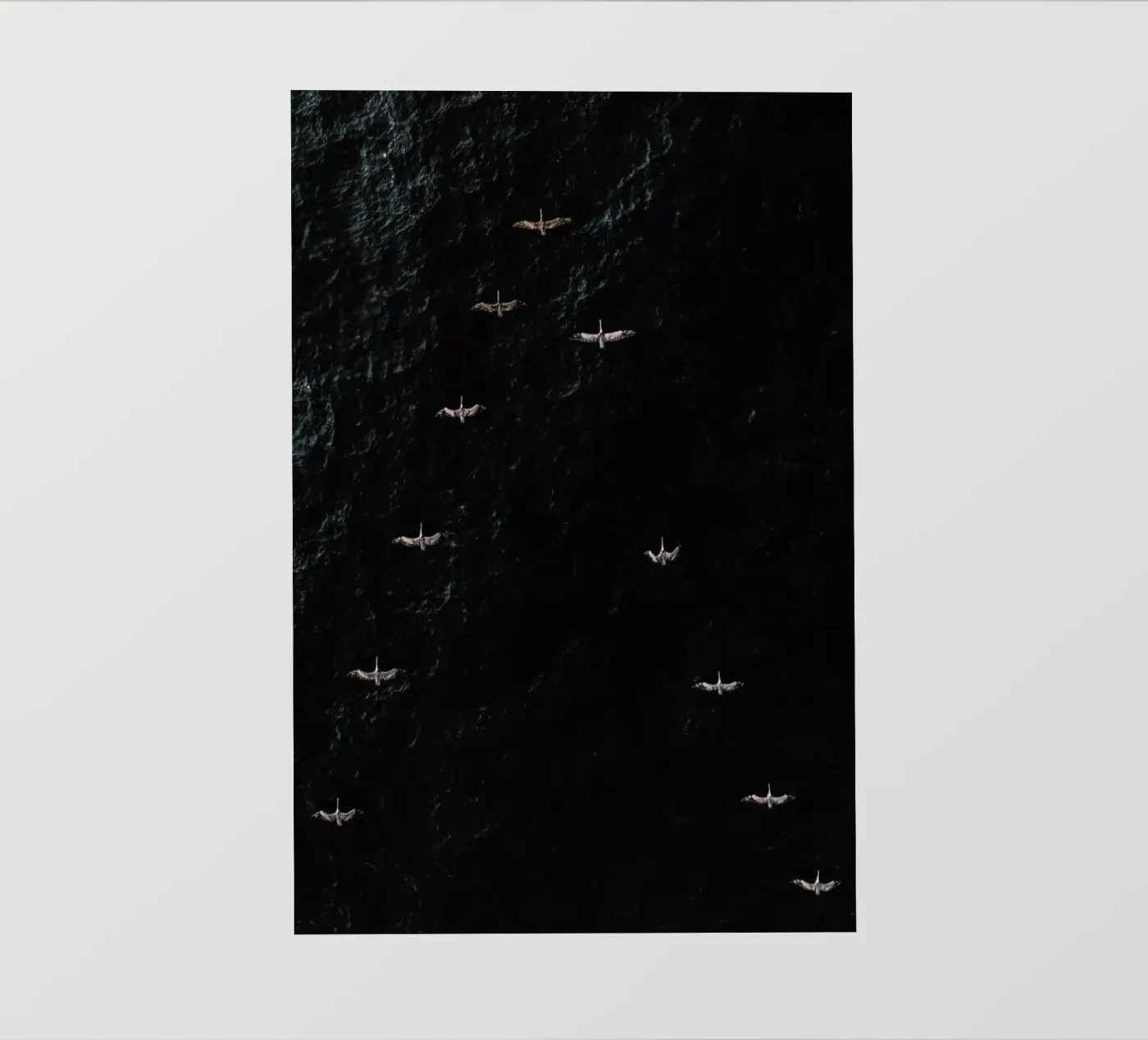 V backlit folie van ROBERTO H