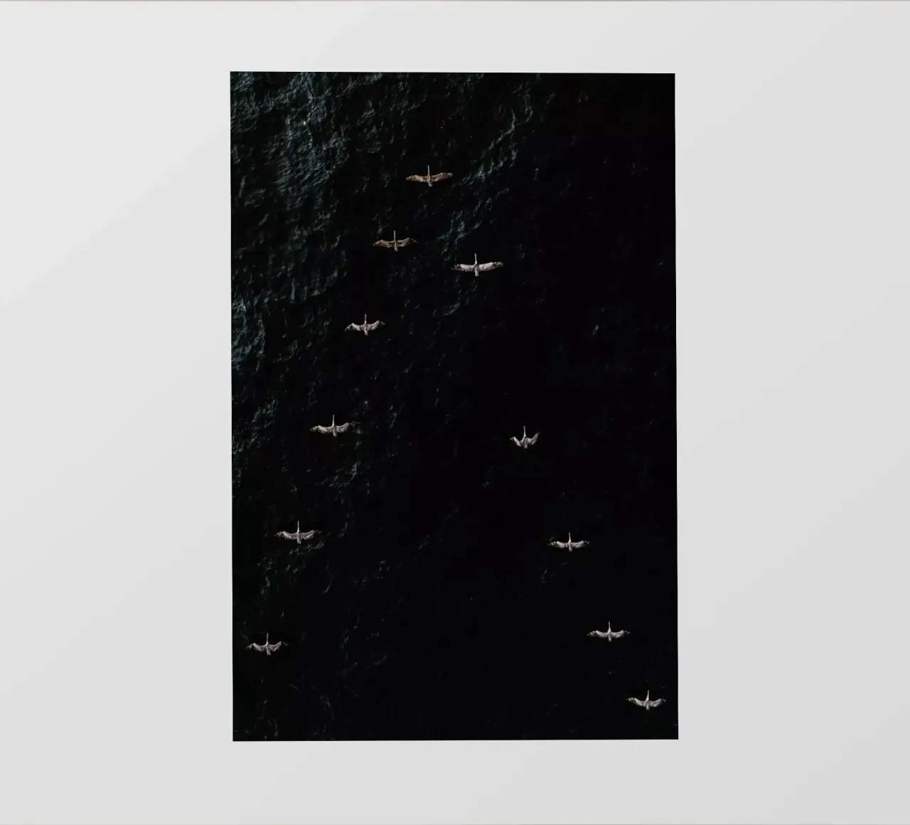 V pellicola backlit da ROBERTO H