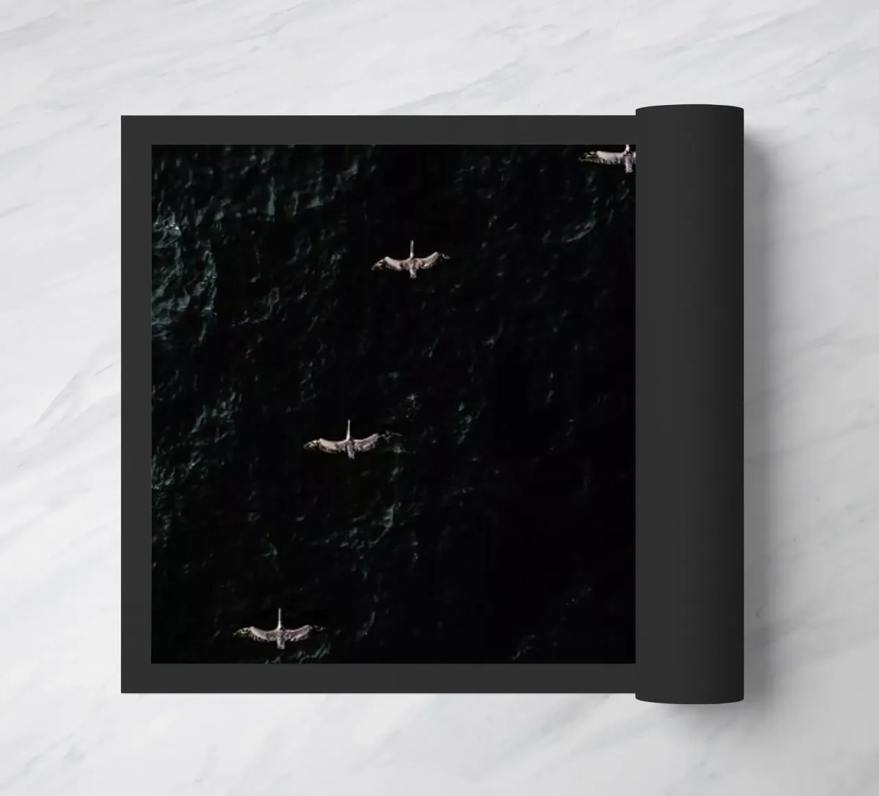 V zerbino da ROBERTO H