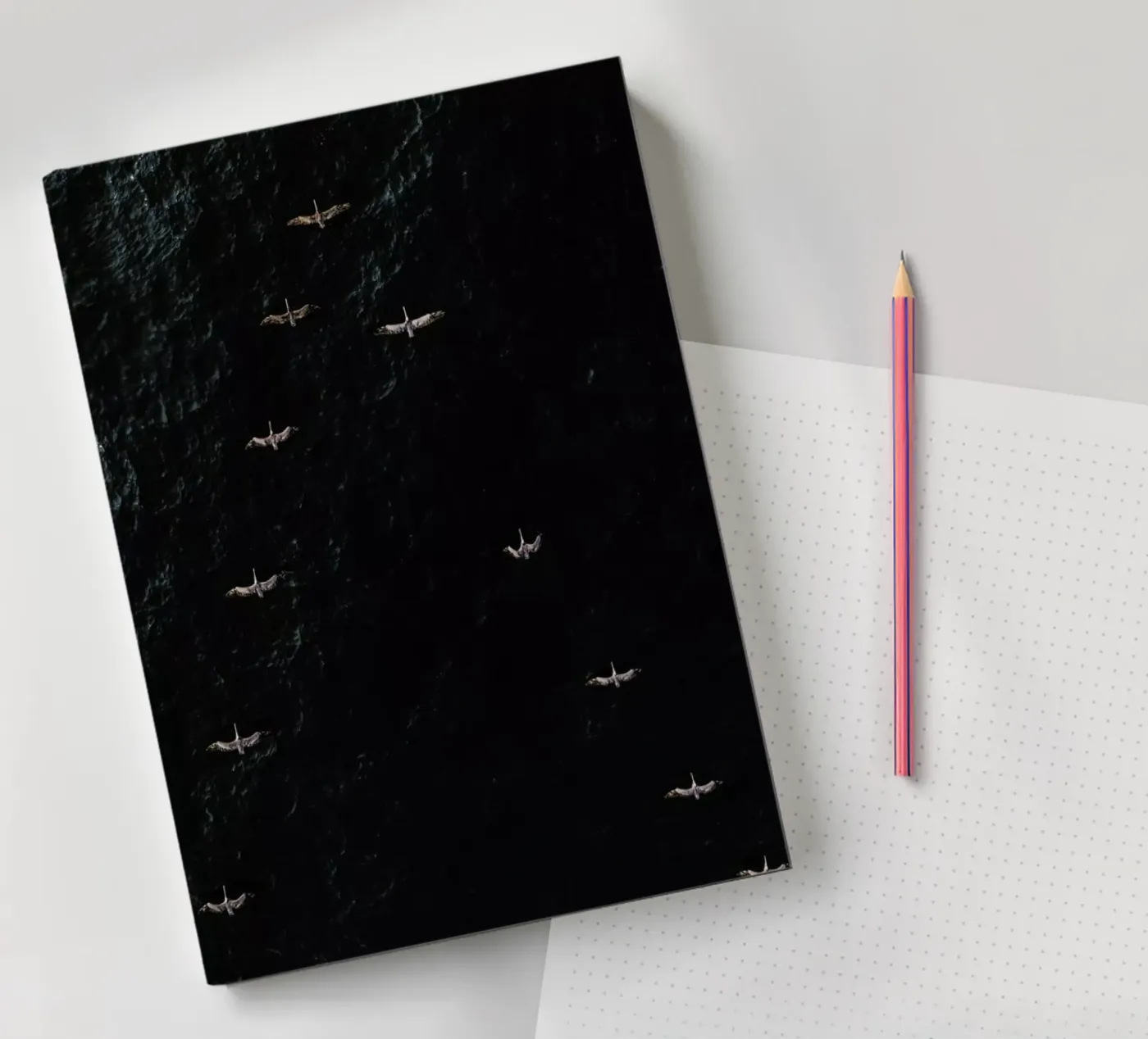 V notebook by ROBERTO H