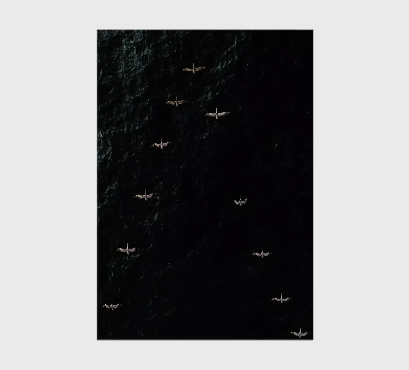 V notebook by ROBERTO H