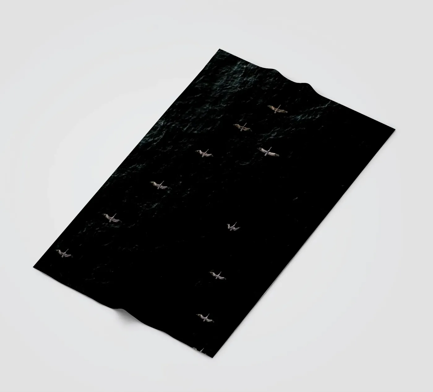 V coperta in pile da ROBERTO H