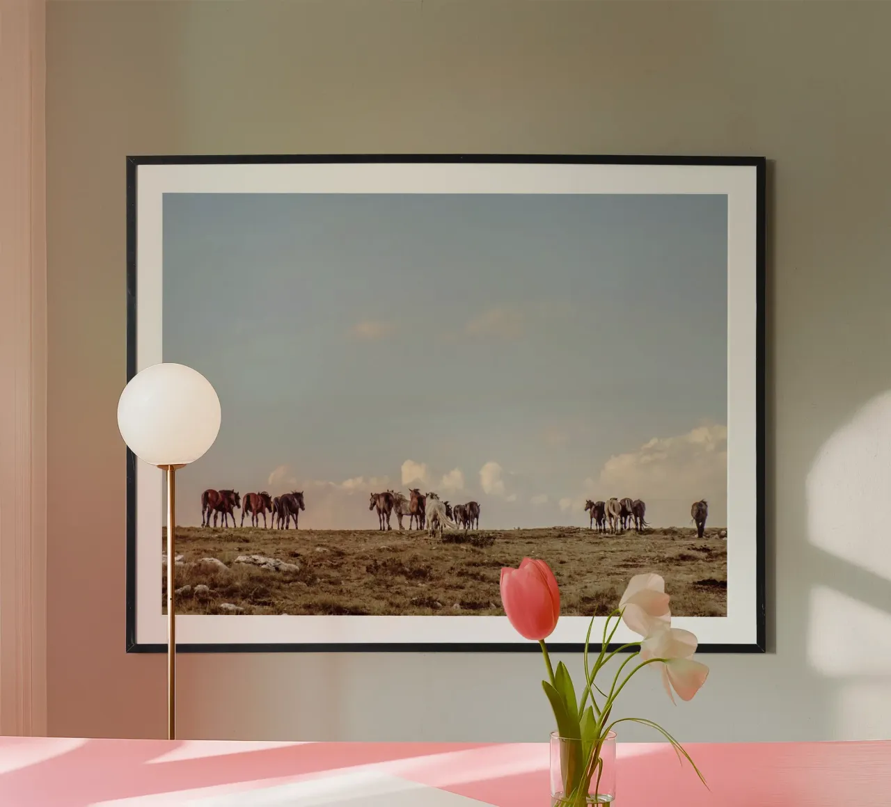herd horses pasture hahnemühle by Horsire